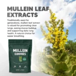 Lung Detox Gummies - Image 7